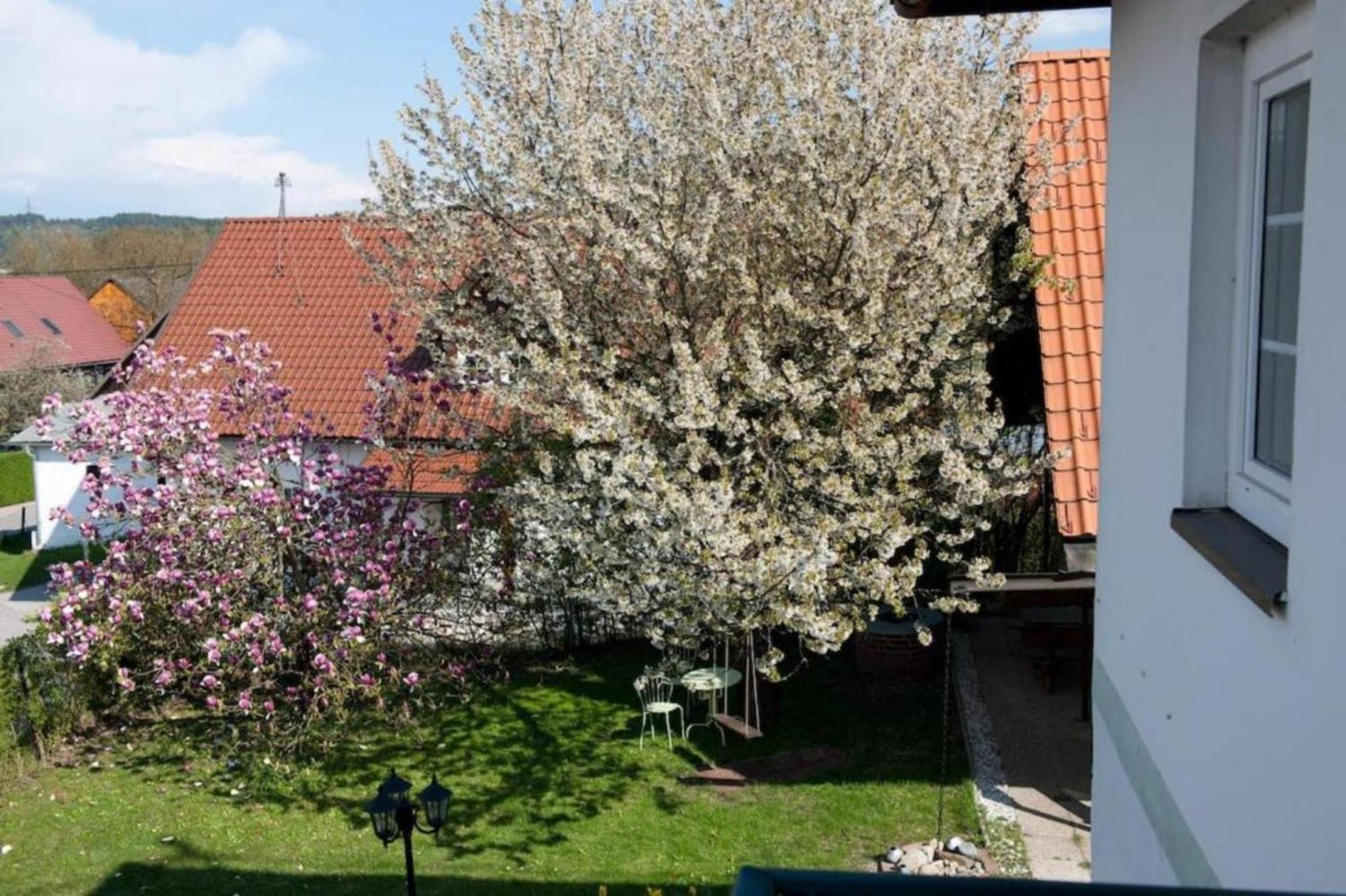 Urlaubsapartment Am Silbersee 빌라흐 외부 사진